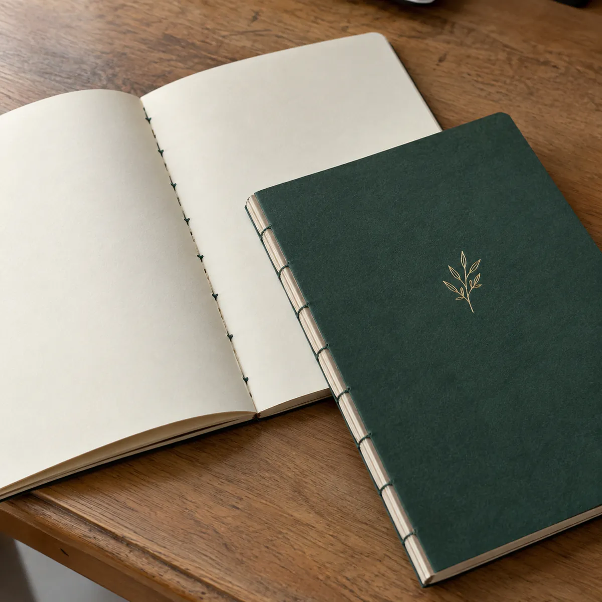 Ejemplo de Libretas Personalizadas